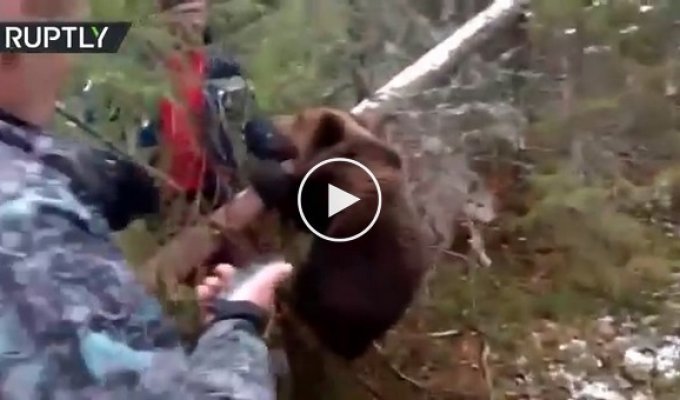Группа охотников спасла медвежонка из металлической браконьерской петли