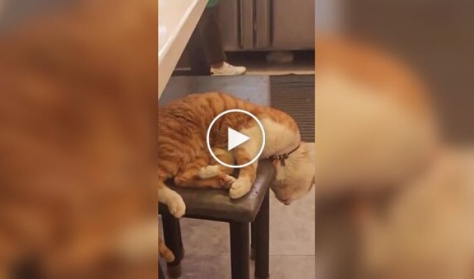 Максимальная забота о клиенте