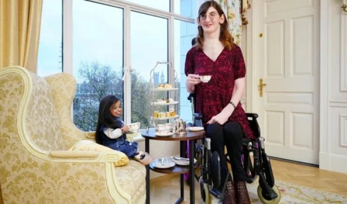 The tallest and shortest women in the world met for a cup of tea in London (4 photos + 2 videos)