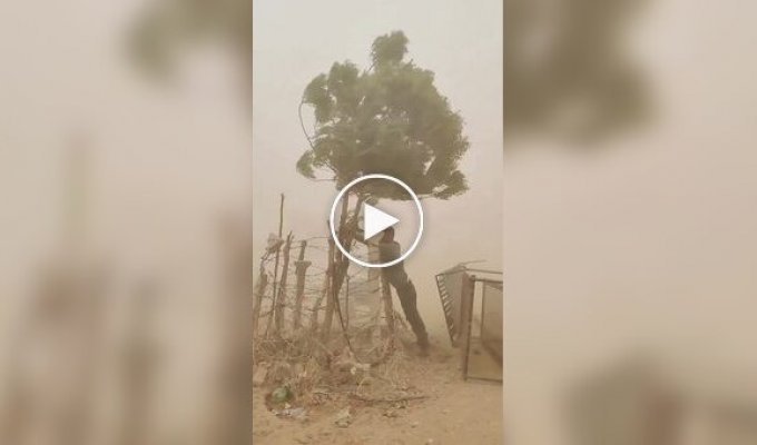 Indian man braved a sandstorm