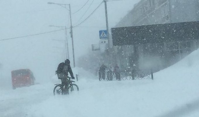 На Камчатке ликвидируют последствия сильного снегопада (50 фото)
