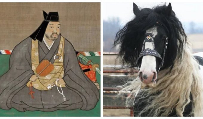 Лошади  с усами, птица-избиратель и 800 групп крови:  10 фактов, которые заставят вас пересмотреть реальность (11  фото)