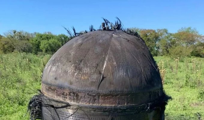 В Аргентине неопознанный мохнатый объект упал на ферму (4 фото)