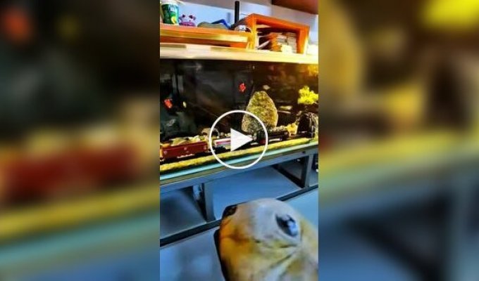 Китайский мастер собрал подводный поезд для аквариума