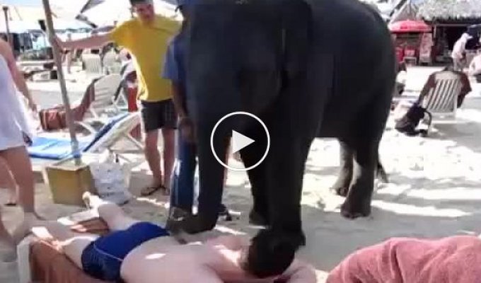 Слоник делает массаж туристам