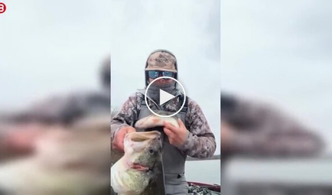One bass ate another, but a fisherman caught them both
