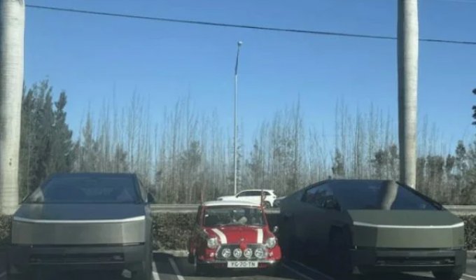 Cool pictures. Issue 3974 (87 photos)