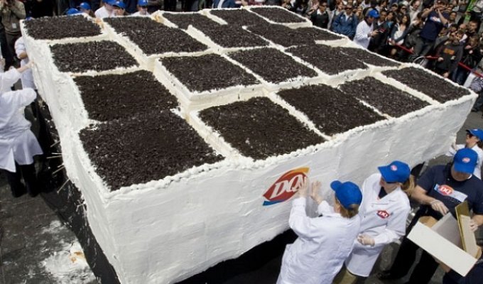 Самый большой в мире торт из мороженого (9 фото)