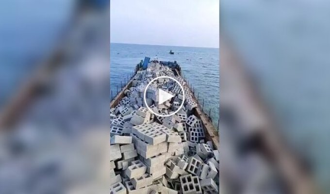 Подводный оазис: как создание искусственных рифов спасает океан