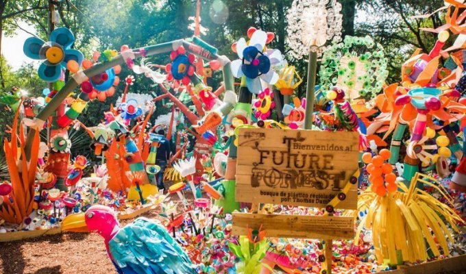 В Мехико 3 тонны пластиковых отходов превратились в разноцветный лес (22 фото + 1 видео)