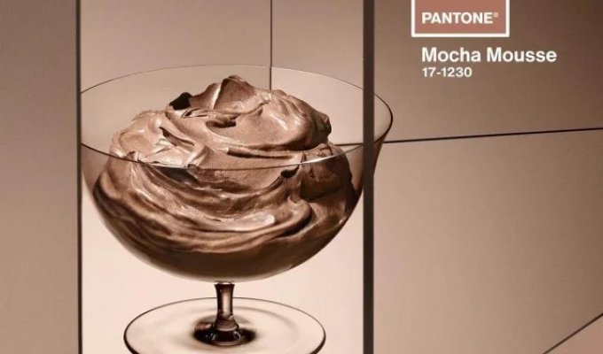 Институт цвета Pantone выбрал цветом 2025 года Mocha Mousse (3 фото)