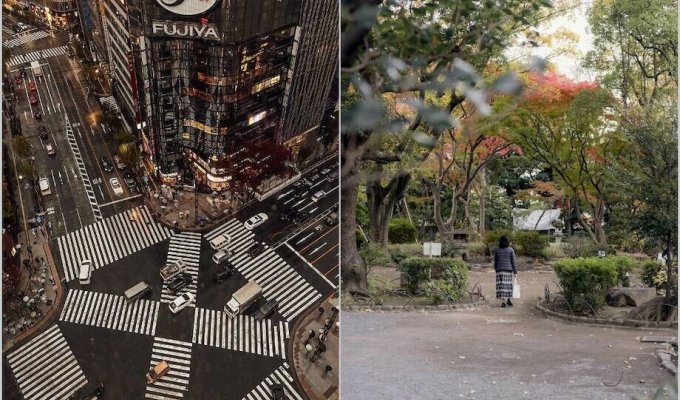 14 удивительных фото о том, как в Токио соединились современность и традиции (15 фото)