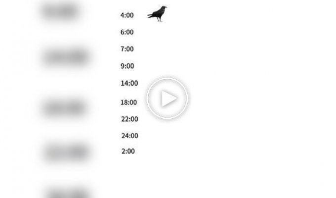 Обычное летнее расписание