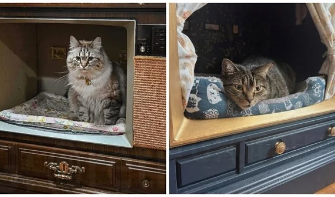 Лежанки зі старих телевізорів та радіоприймачів (7 фото + 1 відео)