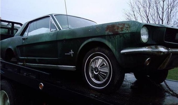 Путь восстановления Ford Mustang (7 фото)