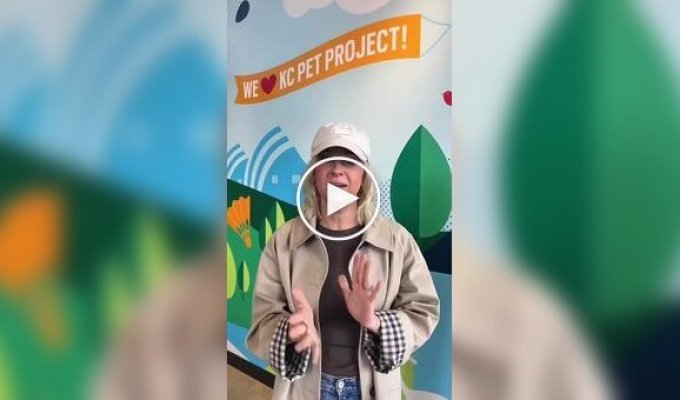 Пса сбросили с моста, и он приземлился на крышу винокурни