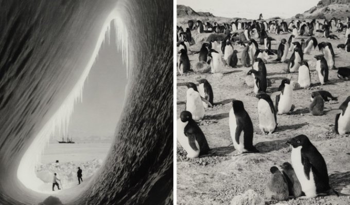 Фотографии смерти: документальный репортаж о гибельной экспедиции Роберта Скотта к Южному полюсу (20 фото)