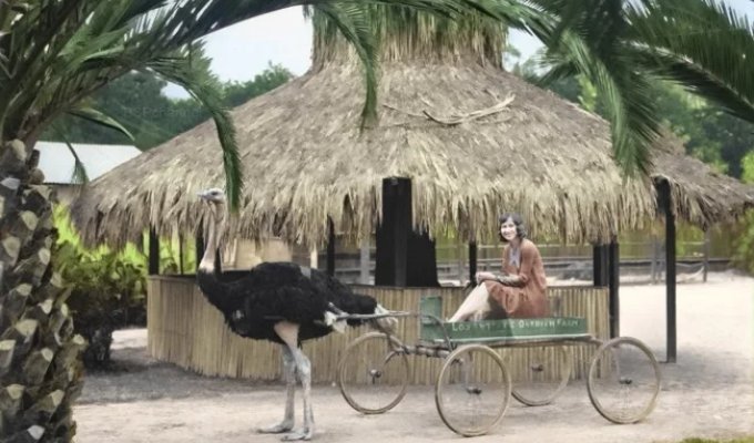 Подборка интересных и необычных фотографий из США (21 фото)