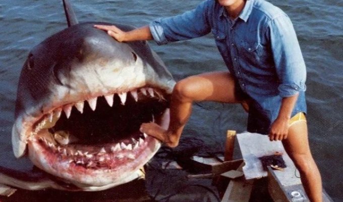 Photos from the set of Steven Spielberg's Jaws (9 photos)