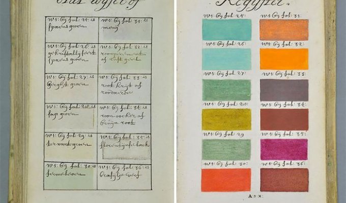 Подробный справочник цветов 1692 года (9 фото)