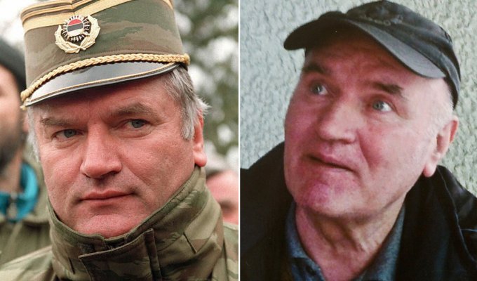 Ратко Младич пойман (41 фото)