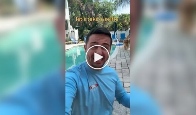 Четвероногая любительница селфи
