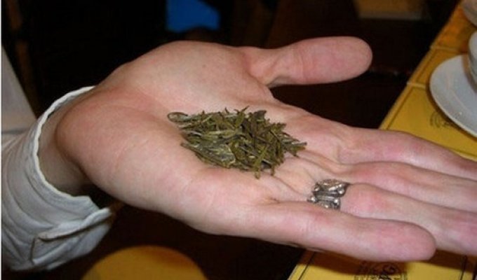 Самые дорогие сорта чая в мире (11 фото)