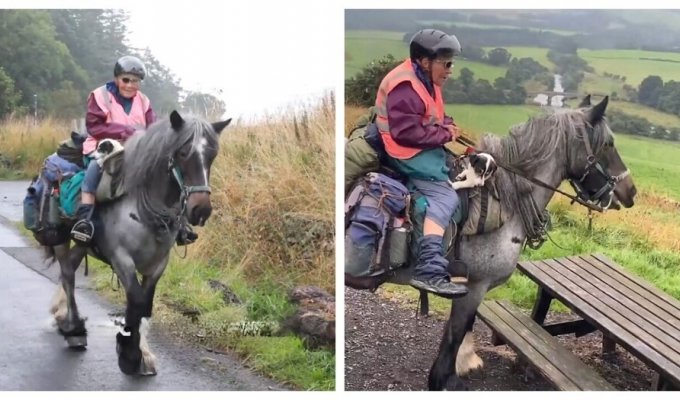 82-year-old tourist rode 965 km on a pony with her dog (12 photos)