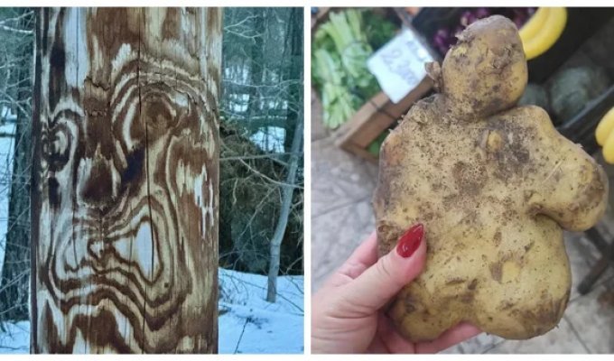 30 фото, запечатлевших маленькие чудеса обыденности и повседневности (31 фото)