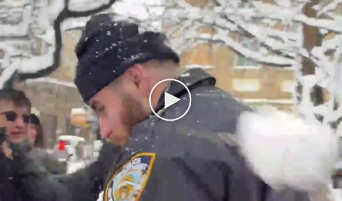 Полицейских закидали снежками в парке Нью-Йорка