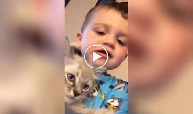 The kitten and the boy found a common language