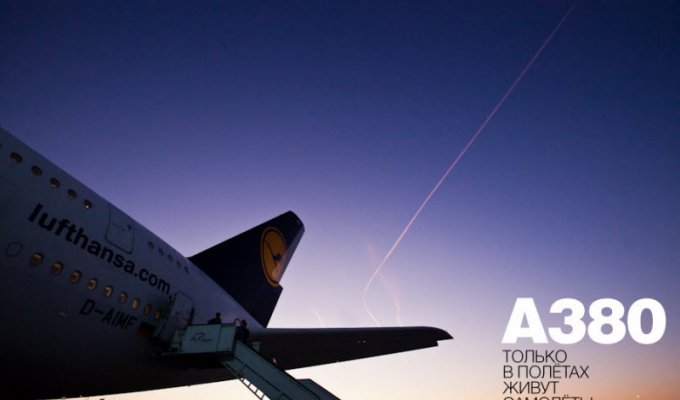 Lufthansa + A380: только в полётах живут самолёты (40 фото + видео)