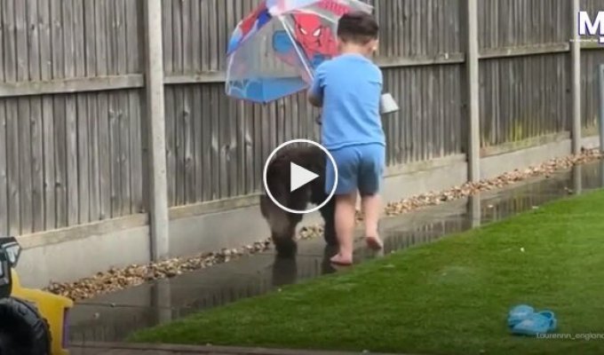 A boy covered his dog with an umbrella during a walk