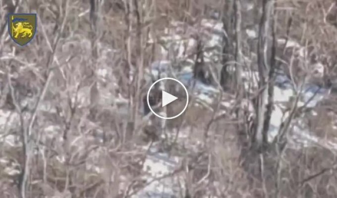 Occupier ties his henchman to a tree in the combat zone and leaves him