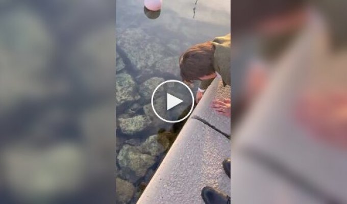 Знакомство с осьминогом в Италии