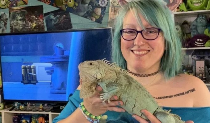 Фанатка «Корпорации монстров» перестроила дом и сменила фамилию (8 фото)