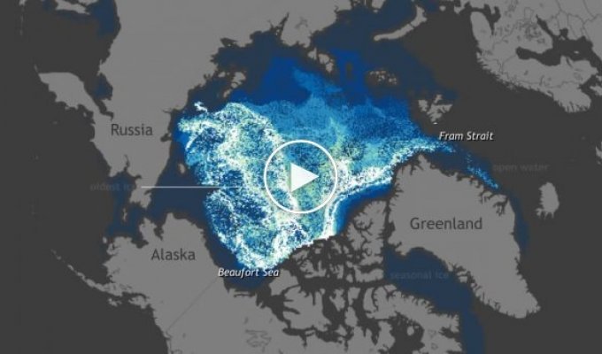 Движение Арктического льда за 27 лет в течение одной минуты