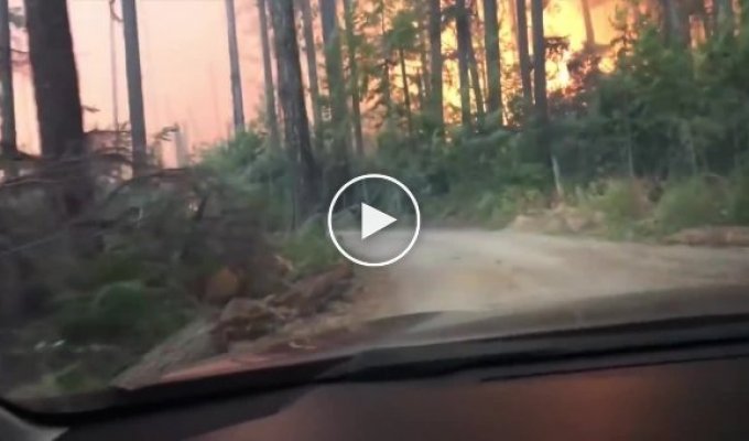 Побег из горящего леса