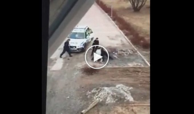 Мигрант гоняет шведских полицейских