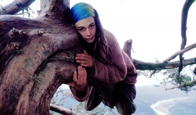 Невероятная история девушки, прожившей на дереве больше двух лет (6 фото)