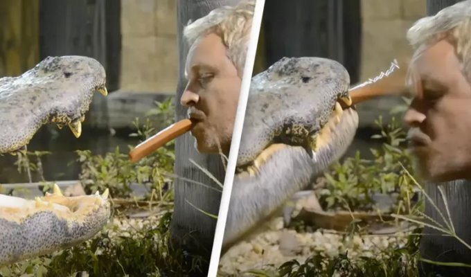 Бесстрашный мужчина кормит рептилий хот-догами изо рта с завязанными глазами (5 фото + 2 видео)