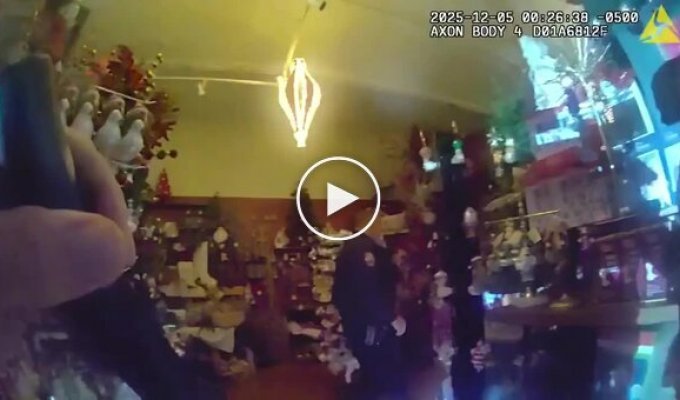 Оленіха застрягла в стулі в магазині подарунків