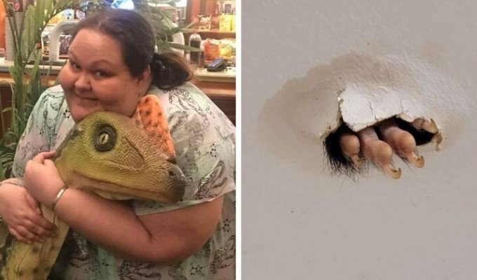 Женщина обнаружила на потолке своей ванной нечто пушистое (6 фото)
