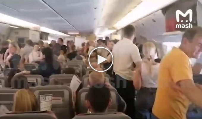 Самолет заглох: пассажиры рейса Сочи — Москва провели в лайнере без кондиционера более трех часов
