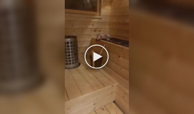 Sphinxes relax in a Finnish sauna