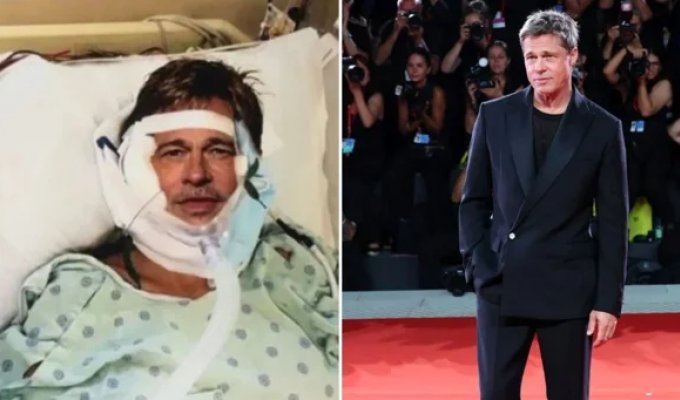 Пенсионерка отдала за мнимый роман с Брэдом Питтом целое состояние (6 фото)