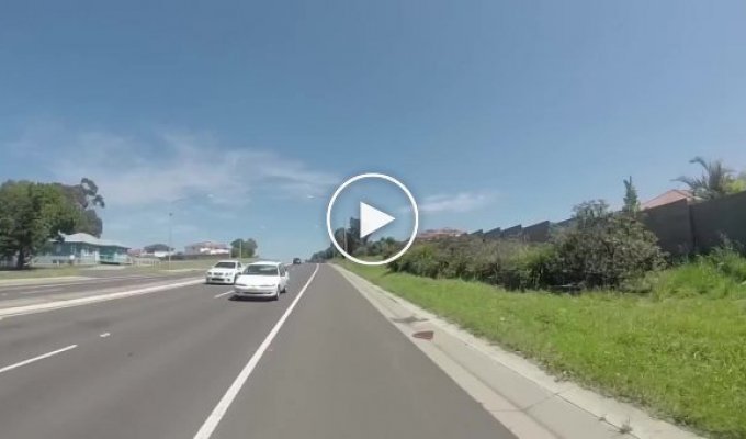 Злобная сорока напала на австралийского велосипедиста