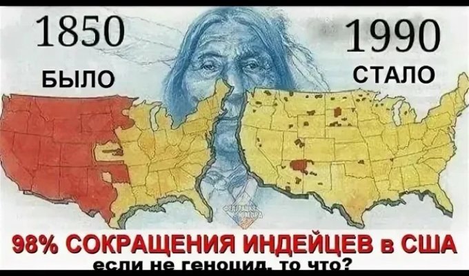 Правда ли, что негров везли в Америку, потому что индейцы не хотели работать? (5 фото)