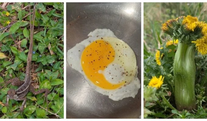 22 случая, когда мать-природа включила режим «рояль в кустах» (23 фото)