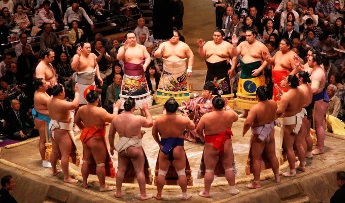 Самые интересные факты о борьбе сумо (15 фото)